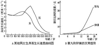 心理学视角下的青春期