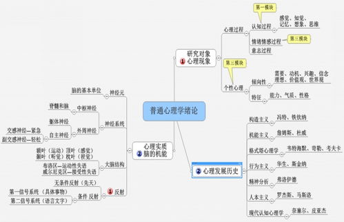 心理学的研究对象是什么简答题