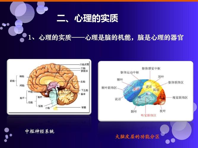 人的心理结构