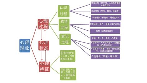 人的心理实质是什么单选题