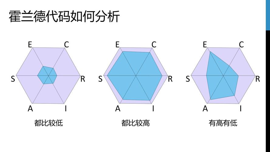 霍兰德测试结果分析图