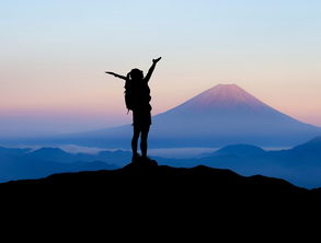 探索自我之旅，免费人格测试题的魅力与启示